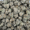 King’s Kush